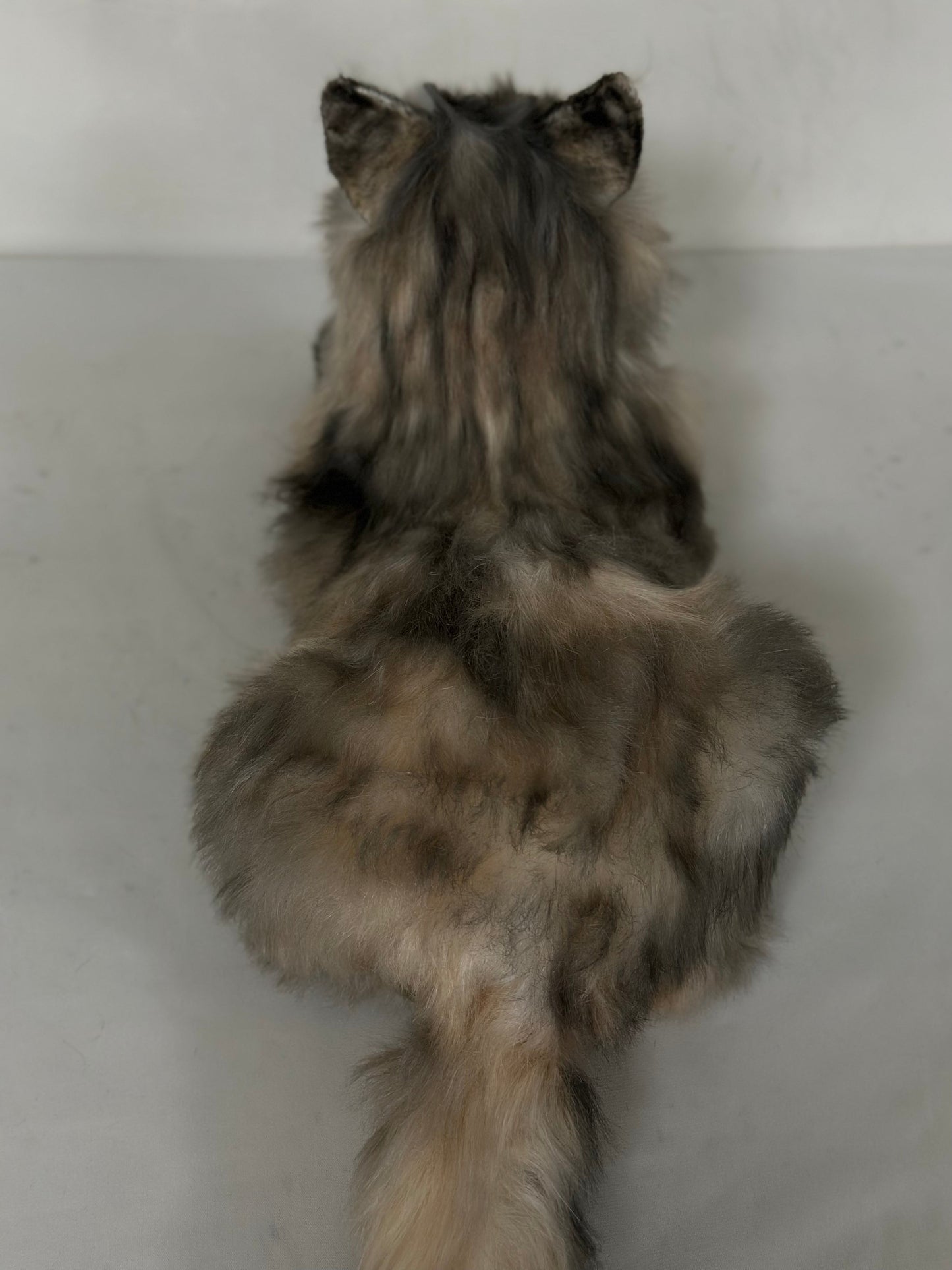 Plush American Tabby Cat Longhair-Handmade Life-Size Companion & Pet Memorial