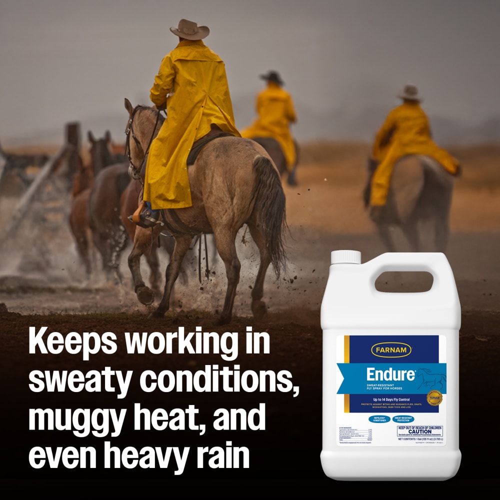 Farnam Endure Sweat-Resistant Fly Spray for Horses Water-Based 14-Day Protection Gallon
