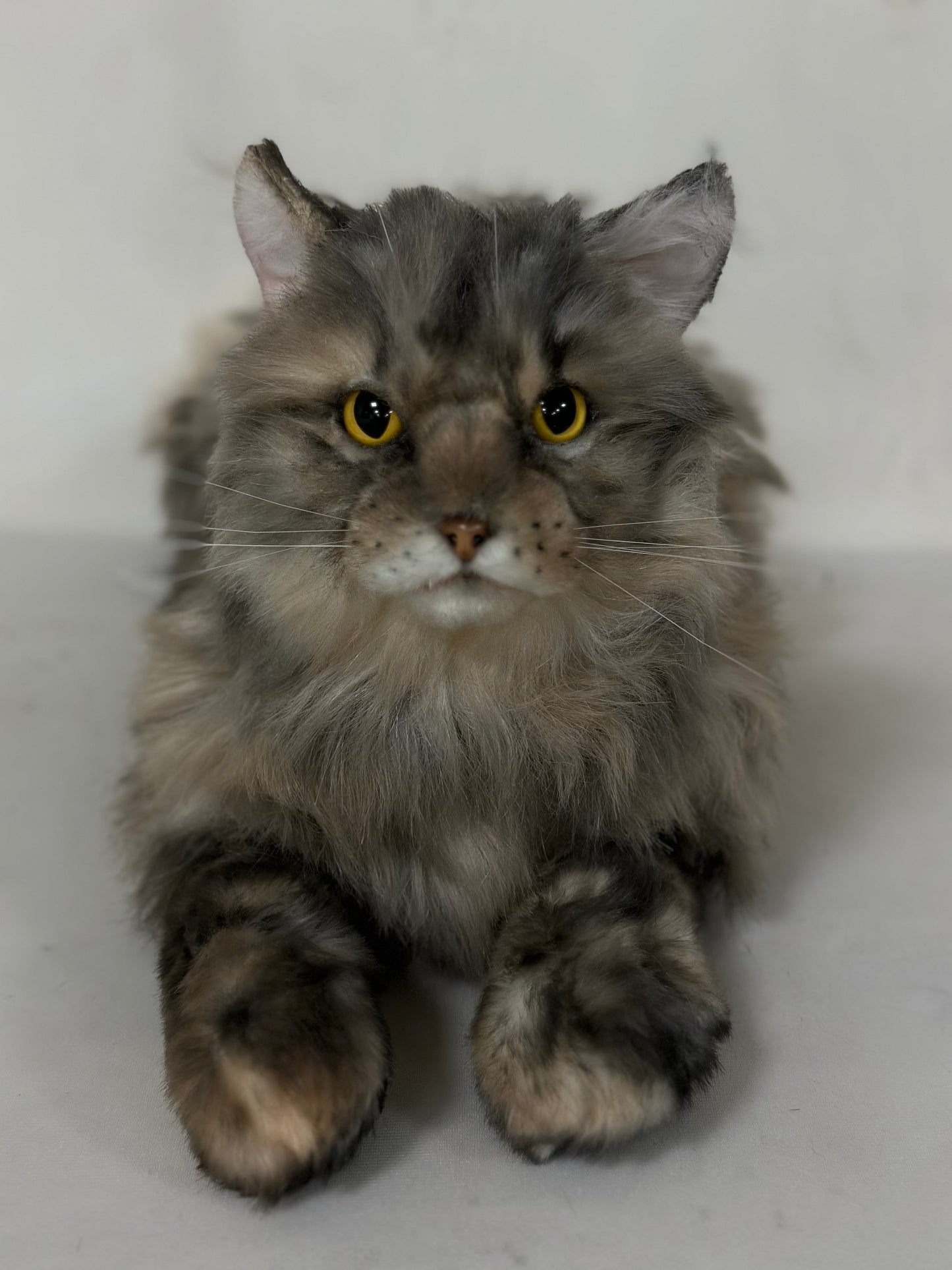 Plush American Tabby Cat Longhair-Handmade Life-Size Companion & Pet Memorial