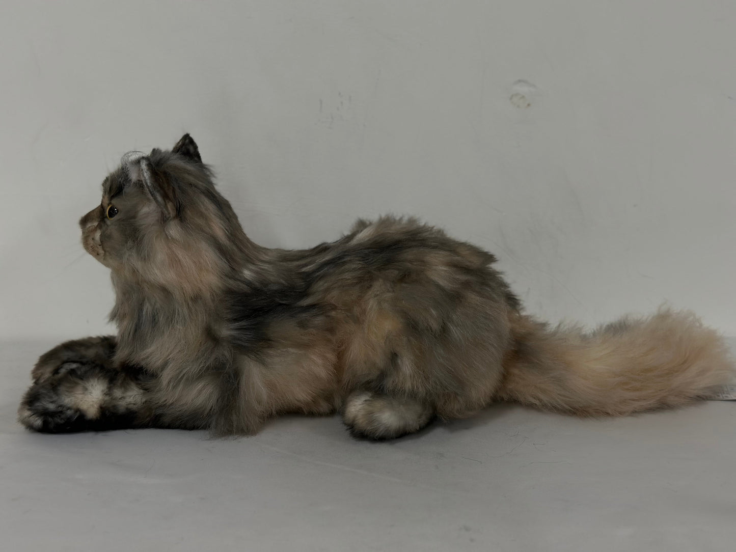 Plush American Tabby Cat Longhair-Handmade Life-Size Companion & Pet Memorial