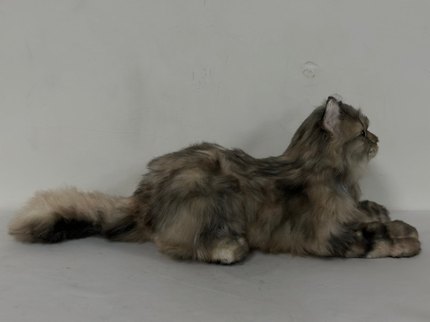 Plush American Tabby Cat Longhair-Handmade Life-Size Companion & Pet Memorial