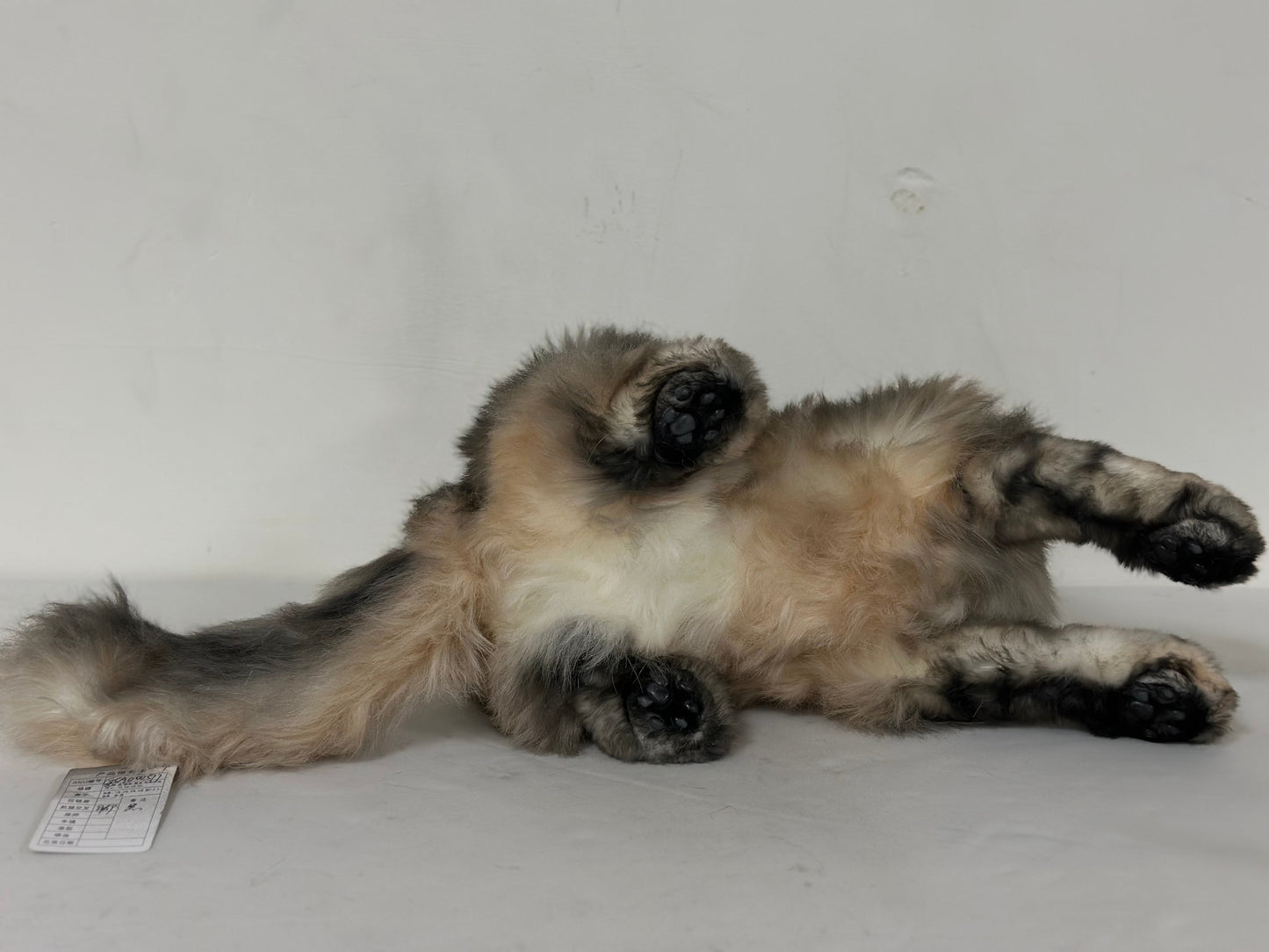 Plush American Tabby Cat Longhair-Handmade Life-Size Companion & Pet Memorial
